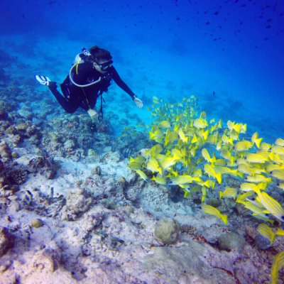 Diving