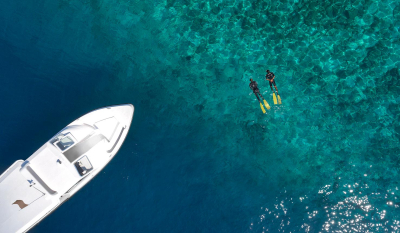 Guided Snorkeling Safari