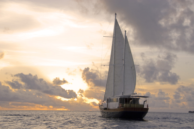 Sunset Cruise on the Ocean Whisperer
