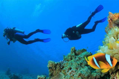 Snorkeling Adventures