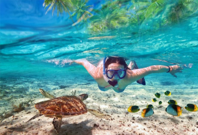 Snorkeling Safari