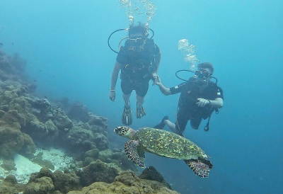 Scuba Diving