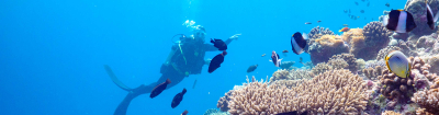 Maagau Dive Centre