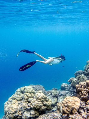 Snorkeling Excursions
